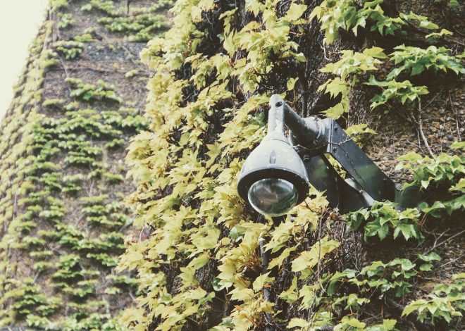 Tout savoir sur les caméras de surveillance IP et leur fonctionnement